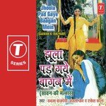 Jhoola Pad Gaye Baagan Mein (Sawan Ki Malhaar) - Raju Punjabi Song Download